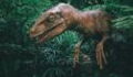 Retired doctor discovers new species of big-nosed dinosaur