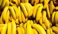 The many health benefits of the humble banana