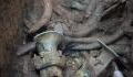 A 3000-year-old treasure from an unknown civilisation has been discovered in China