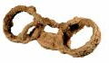 Exceptional discovery of a 1,800-year-old chained slave skeleton in England