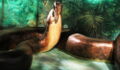 Scientists Have Discovered The Remnants Of A 50-Foot 'Titan' Snake