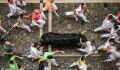 Man bleeds to death after angry bull impales him