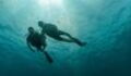 A Diver In Sardinia Found A Condom In A Fish He Had Just Caught (VIDEO)