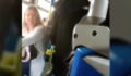 A Racist Attack in a Madrid Bus Went Viral for a Shocking Reason
