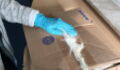 Customs Officers Couldn't Believe Their Eyes When They Saw What Was Inside This Package