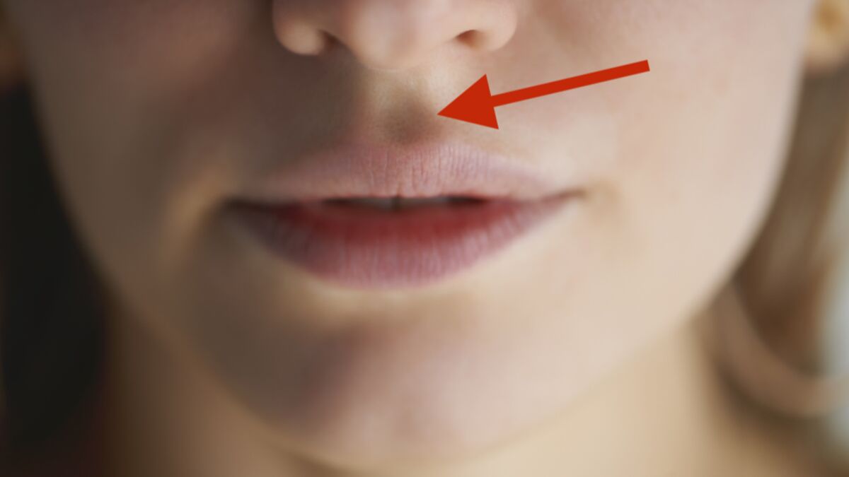 Philtrum Where does the dimple between the nose and mouth come from?