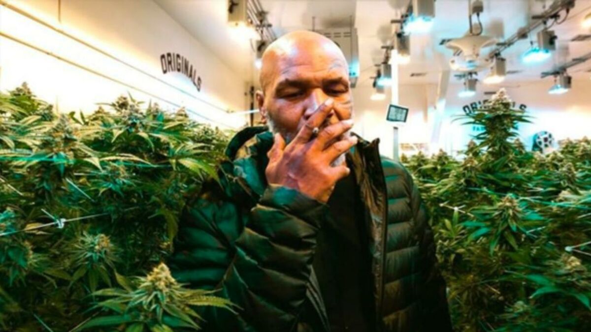 Mike Tyson Revealed He Smokes $40,000 Worth Of Pot Every Month