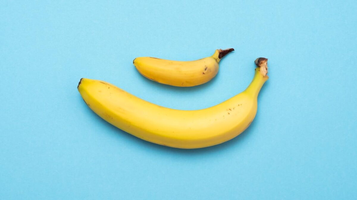 Are you a grower or a shower? This study explains the difference