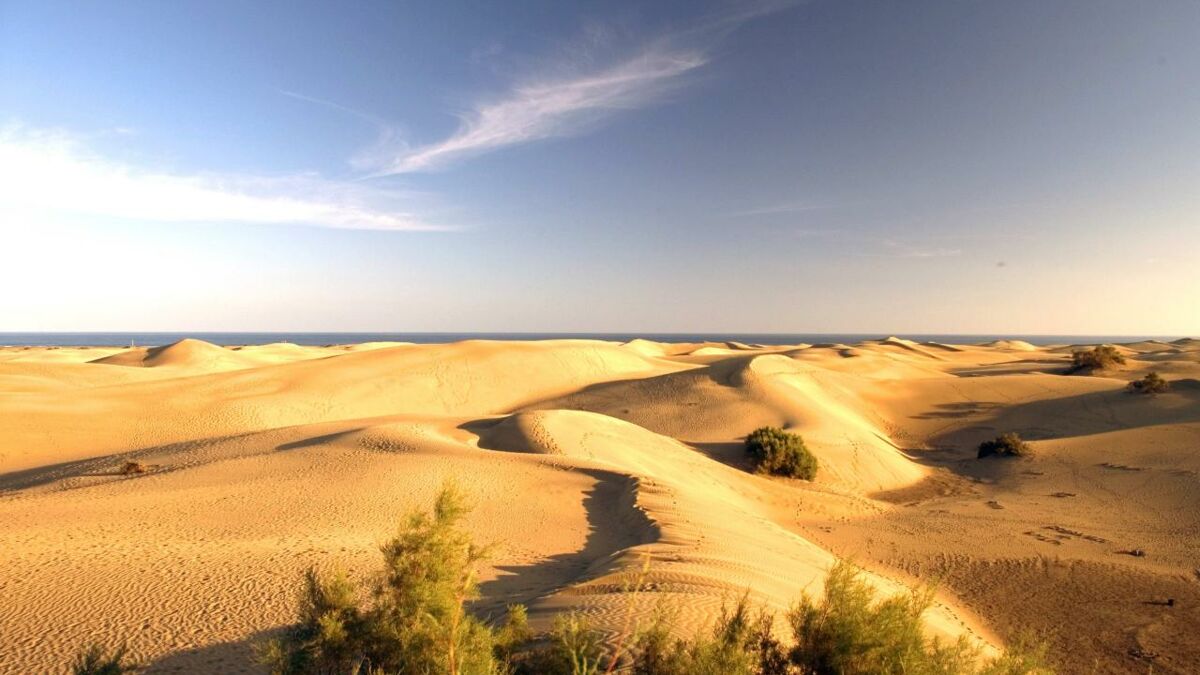 Sexual activities of tourists in dunes destroying a Spanish beach photo
