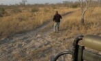 This Guide Was Tracking Lions When He Got The Fright Of His Life