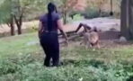 This woman jumped into a lion enclosure, what happened next left everyone speechless