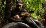 Watch this naturalist get swallowed whole by an anaconda