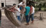 Indonesian villagers fought off this massive python that stumbled into their home