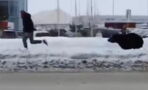 Watch this bear chase a man across town