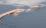 Photographer captures the moment a crocodile swallows a shark