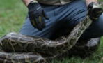 One man survived a snake after it went for his throat