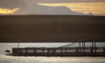 NGO reveals shock investigation into Scottish salmon industry