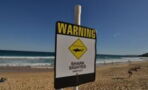 Australian surfer dies after being attacked by a shark
