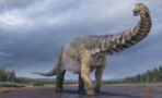 Meet Australotitan, the largest dinosaur ever unearthed in Australia