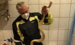 Deadly python attacks man’s testicles while on the toilet