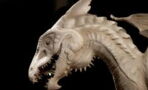 Paleontologists unearth ‘savage’ flying creature in Australia