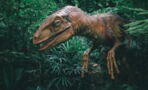 Retired doctor discovers new species of big-nosed dinosaur