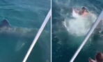 Drunken man throws himself at a massive shark from his boat