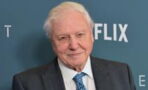 David Attenborough: Why was the broadcaster nominated for the Nobel Peace Prize?