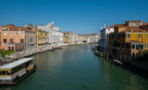 Sea life is flourishing in Venice's now crystal clear canals