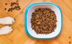 Product recall: This dog food has been found to spread serious disease to humans