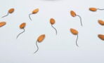 Study reveals real impact of COVID vaccine on sperm