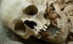 This Terrifying Secret About Our Ancestors Has Researchers Shook