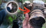 They made an incredible discovery while hiking in the woods