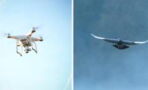 The incredible story of spy pigeons, the drones' precursors