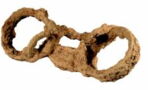 Exceptional discovery of a 1,800-year-old chained slave skeleton in England