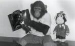 Do You Remember Bubbles, Michael Jackson's Chimpanzee? Here's What He's Doing Now