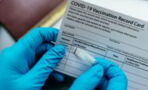 Reports show growing worldwide market for fake vaccine and COVID test certificates