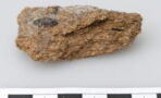 2,700-year-old poop shows ancient Europeans enjoyed beer and blue cheese