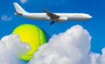 This is why you should always bring a tennis ball when travelling