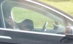 Man falls asleep at the wheel of his Tesla on the highway