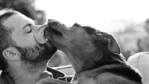 Here's How One Man Passed Away After His Dog Licked Him