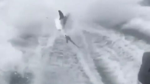 Three men were arrested after a viral video showed them torturing a shark