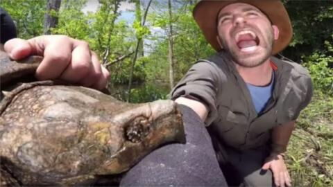 Animal Expert Coyote Peterson Lets Snapping Turtle Bite His Arm