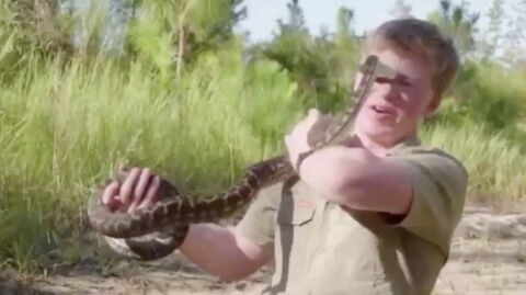 The Crocodile Hunter: Steve Irwin's Son Suffers A Brutal Snake Attack