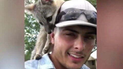 He thought he'd rescued a dog, but it turned out to be something totally unexpected