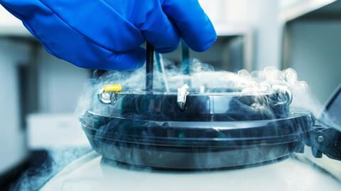 An animal has survived frozen in the Siberian permafrost for 24 000 years