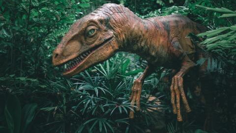 Retired doctor discovers new species of big-nosed dinosaur