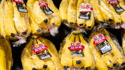 Man terrified to find ‘most venomous’ spider in Sainbury’s bananas