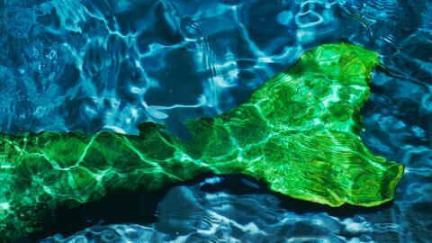 'Mystery monster' that is half-human half-fish unearthed in Japan