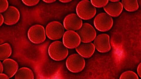 This controversial start-up is injecting customers with young people's harvested blood - They claim is grants longer life